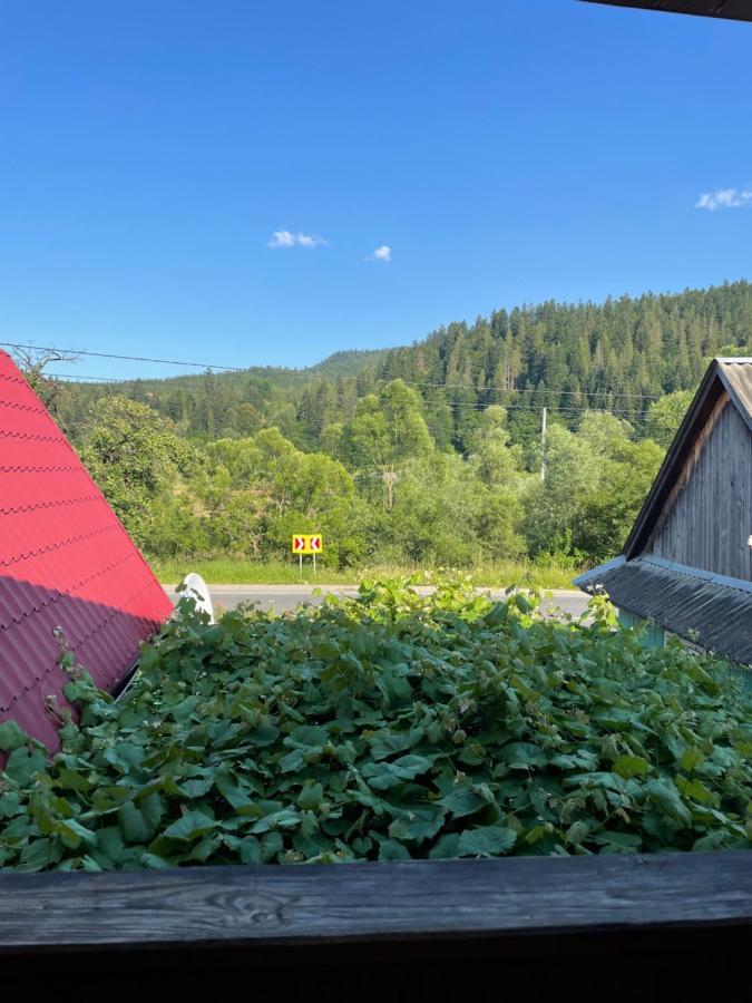 Villa У Болгарина à Mykulychyn Extérieur photo